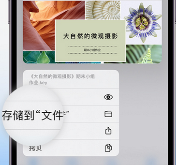 西盟apple维修中心分享iPhone文件应用中存储和找到下载文件