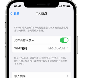 西盟apple服务站点分享iPhone上个人热点丢失了怎么办