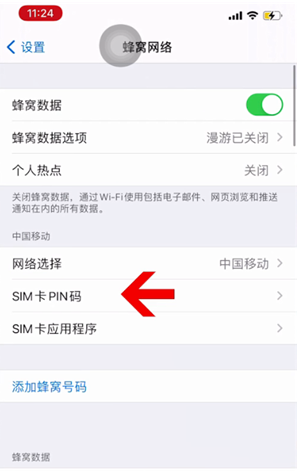 西盟苹果14维修网分享如何给iPhone14的SIM卡设置密码 