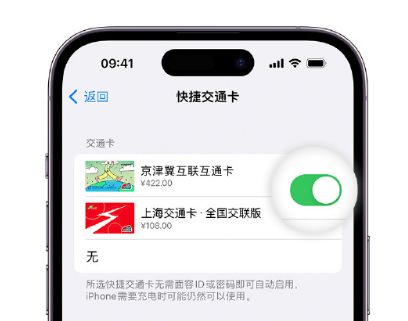 西盟apple维修点分享iPhone上更换Apple Pay快捷交通卡手绘卡面 