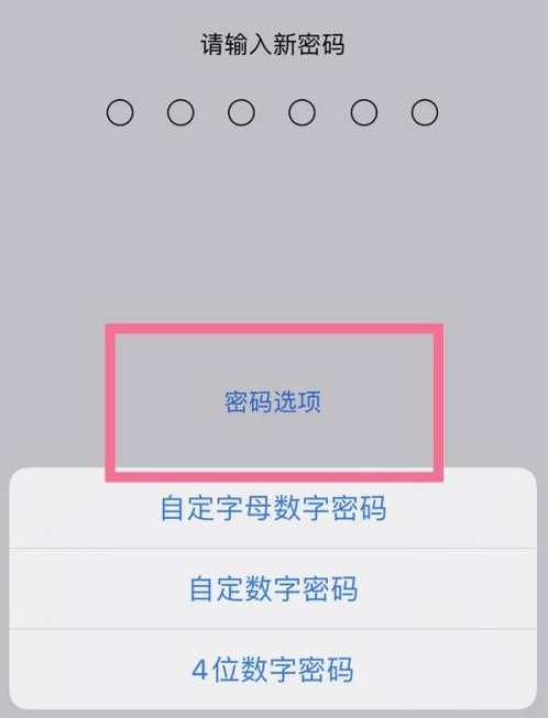 西盟苹果14维修分享iPhone 14plus设置密码的方法 