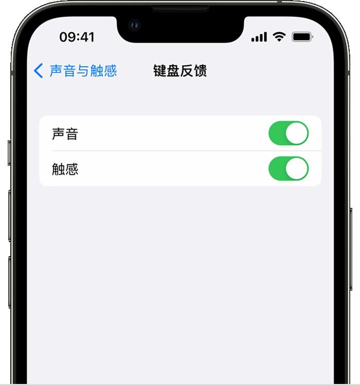 西盟苹果14维修分享iPhone 14 系列机型如何开启键盘声音或触感反馈 