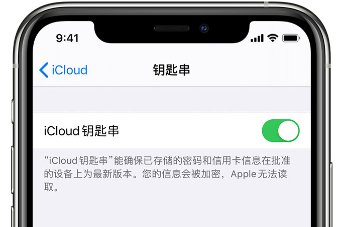 西盟苹果手机维修分享在 iPhone 上开启 iCloud 钥匙串之后会储存哪些信息 