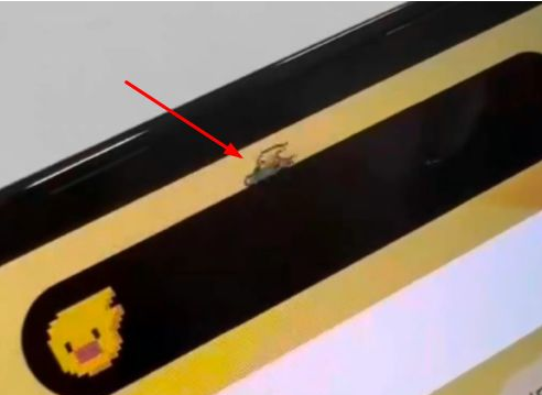 西盟苹果14维修分享iPhone 14 Pro Max灵动岛怎么养宠物 