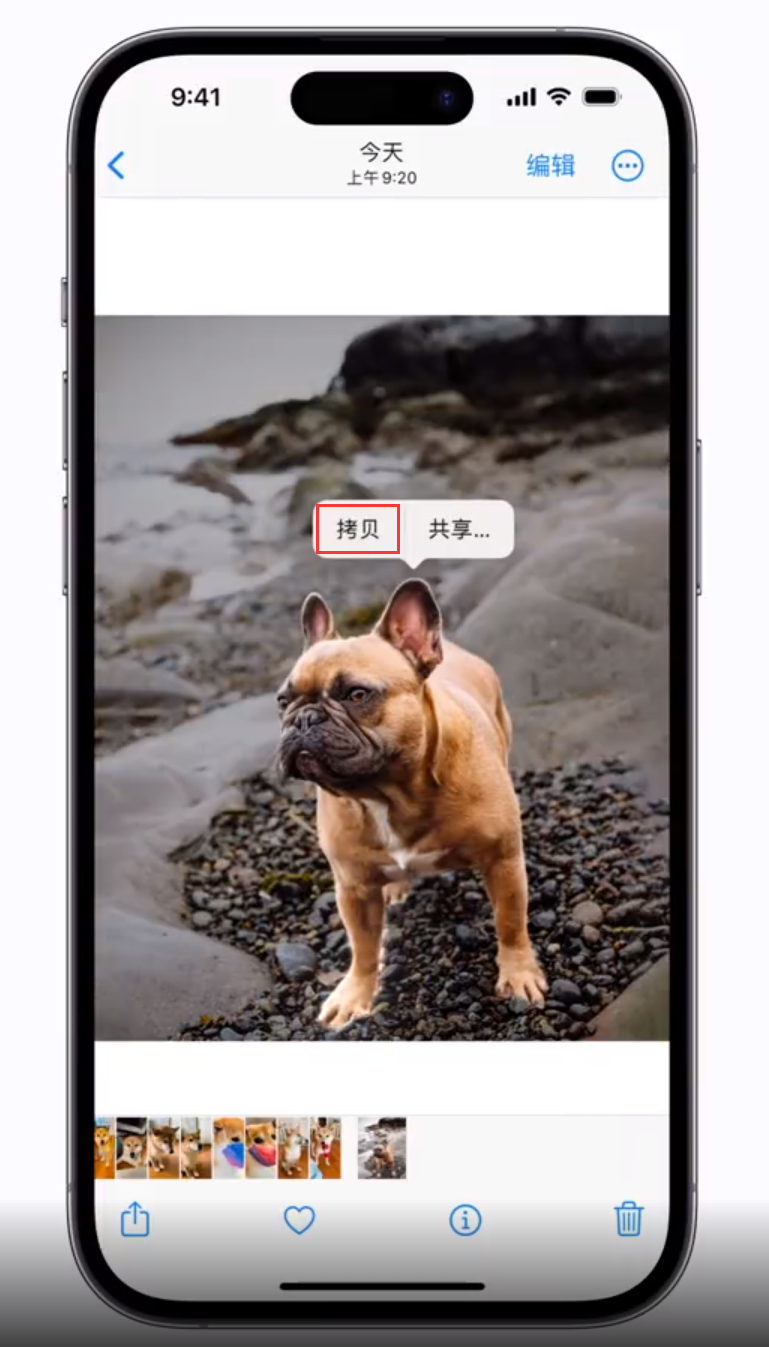 西盟苹果手机维修分享 iOS 16 自带一键抠图功能 