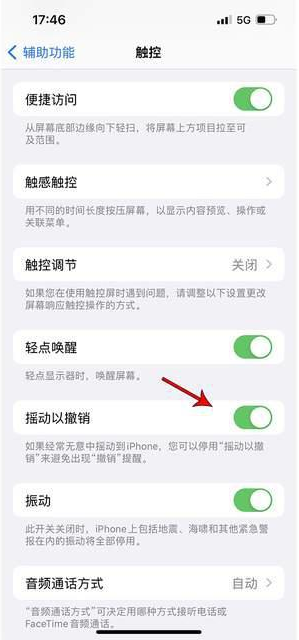 西盟苹果手机维修分享iPhone手机如何设置摇一摇删除文字 