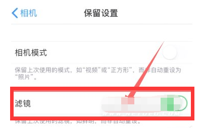 西盟苹果13维修分享iPhone13拍照有绿点是怎么回事 
