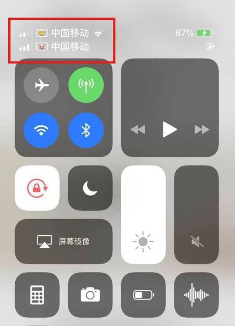 西盟苹果手机维修分享为 iPhone 12 双卡设置标签 